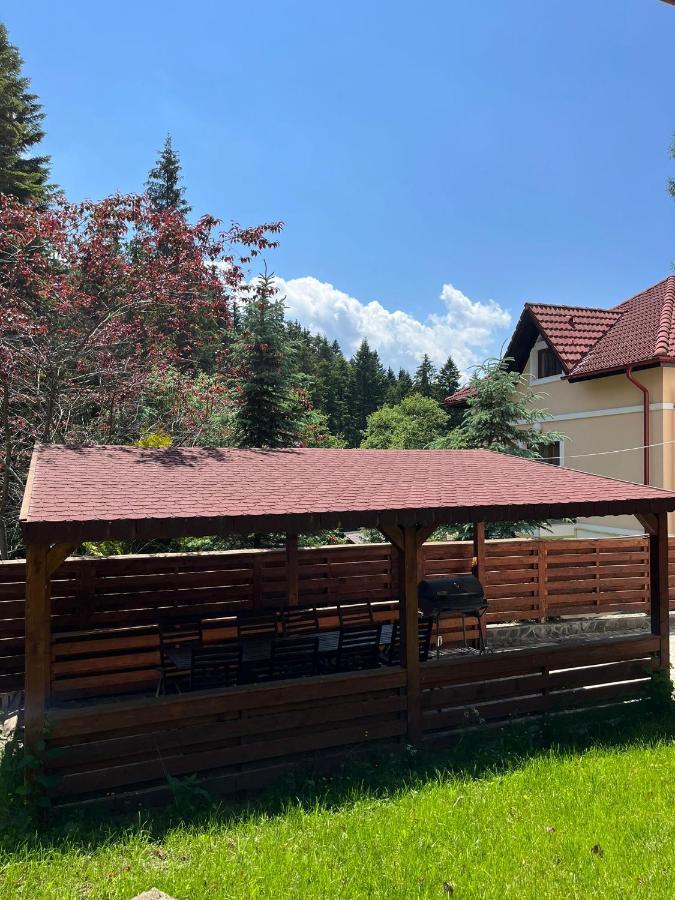 Vila 7 Predeal - Unique Location In The Forest Екстер'єр фото