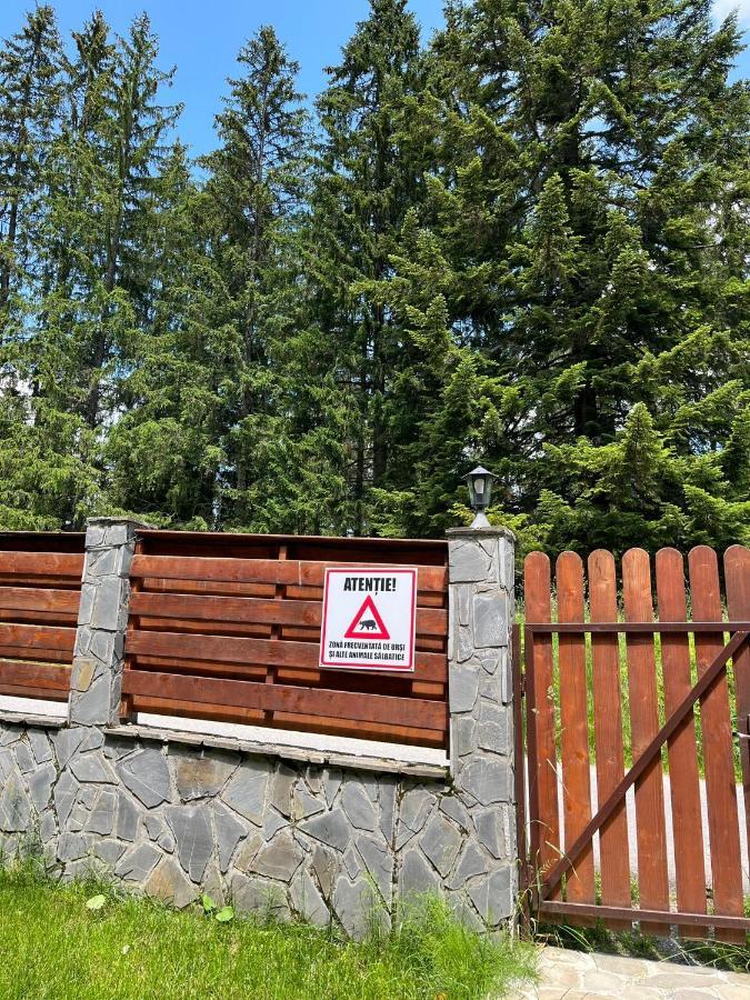 Vila 7 Predeal - Unique Location In The Forest Екстер'єр фото